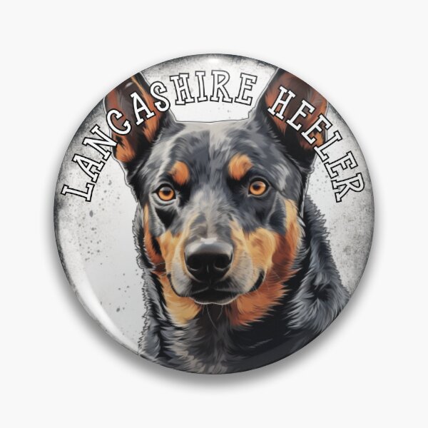 Item preview, lancashire heeler designed and sold by Tee Studio.