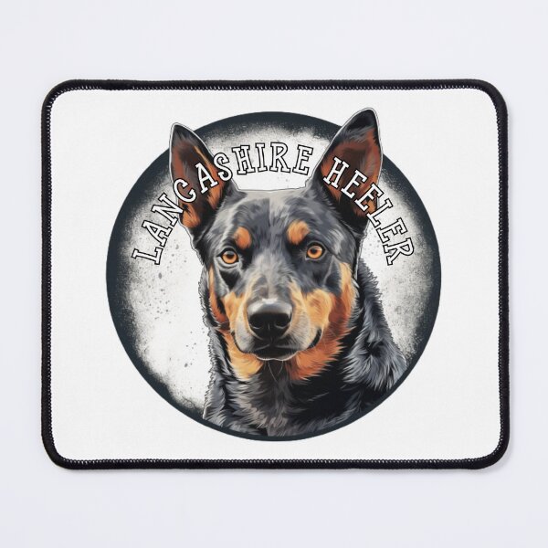 Item preview, lancashire heeler designed and sold by Tee Studio.