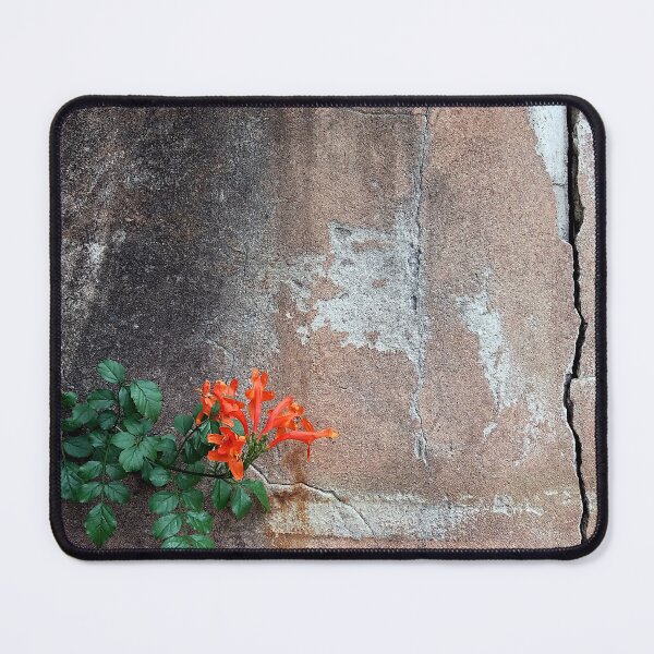 Item preview, Crack in the wall designed and sold by PictureFarm.