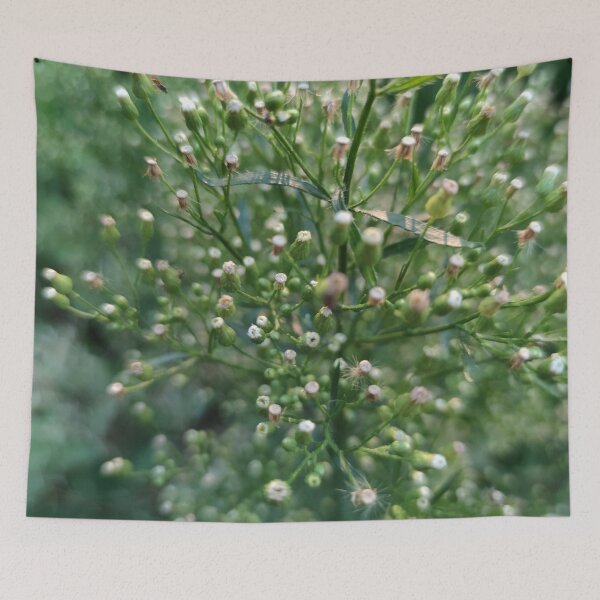 Item preview, The night after blooming designed and sold by tshuki.
