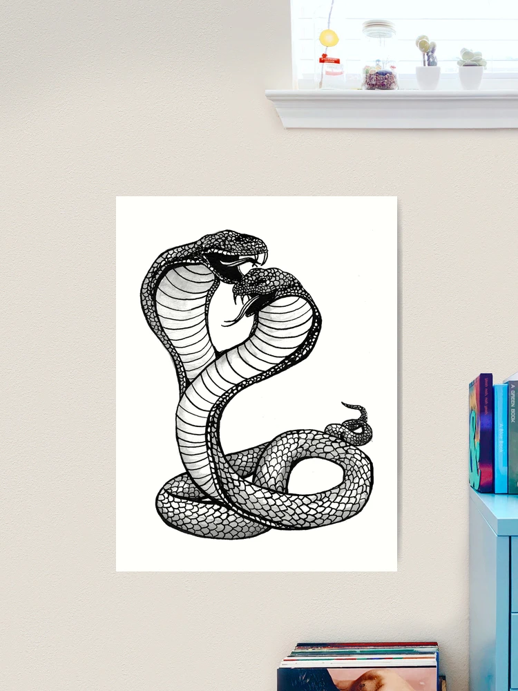 Two-headed King Snake Acrylic Print by Gregory G. Dimijian, M.D.