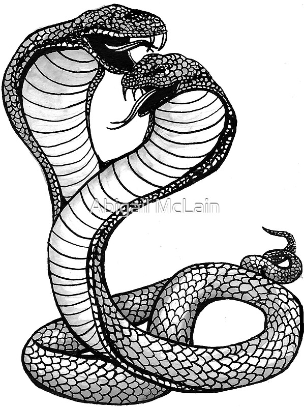 "Two-Headed Cobra" by Abigail McLain | Redbubble