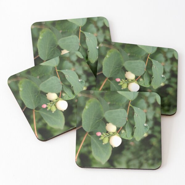 Item preview, Snowberries are appearing designed and sold by tshuki.