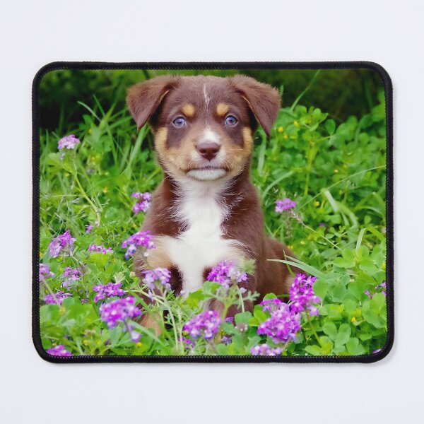 Item preview, Flower pup-ower designed and sold by Penny Kittel.