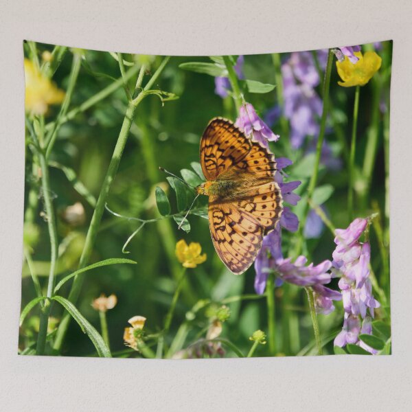 Item preview, Argynnini summer designed and sold by Jouko Lehto Photography.