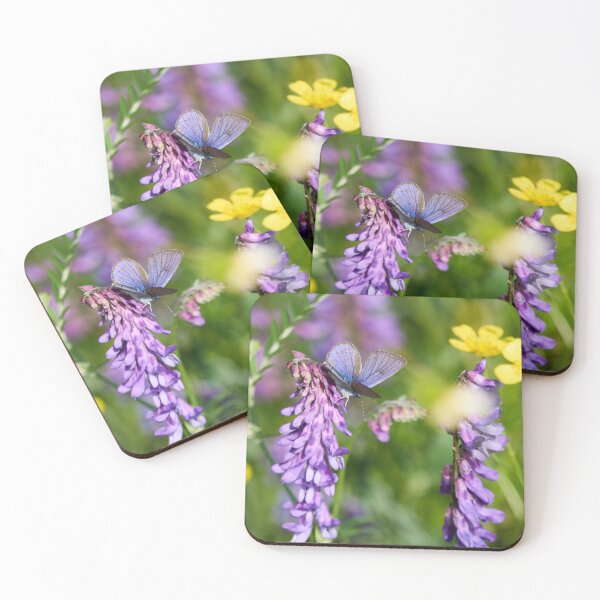 Item preview, Mazarine blue on tufted vetch designed and sold by Jouko Lehto Photography.