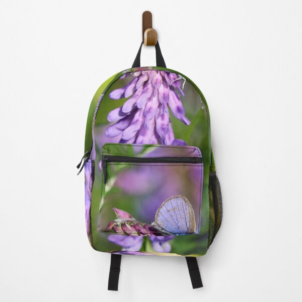 Item preview, Mazarine blue on tufted vetch designed and sold by Jouko Lehto Photography.