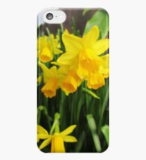 Daffodils iPhone 5c Case