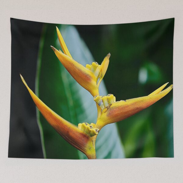 Item preview, Tropical Bursts: The Dazzling Orange Exotic Flower designed and sold by franck380.