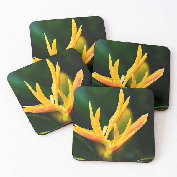Item preview, Tropical Bursts: The Dazzling Orange Exotic Flower designed and sold by franck380.