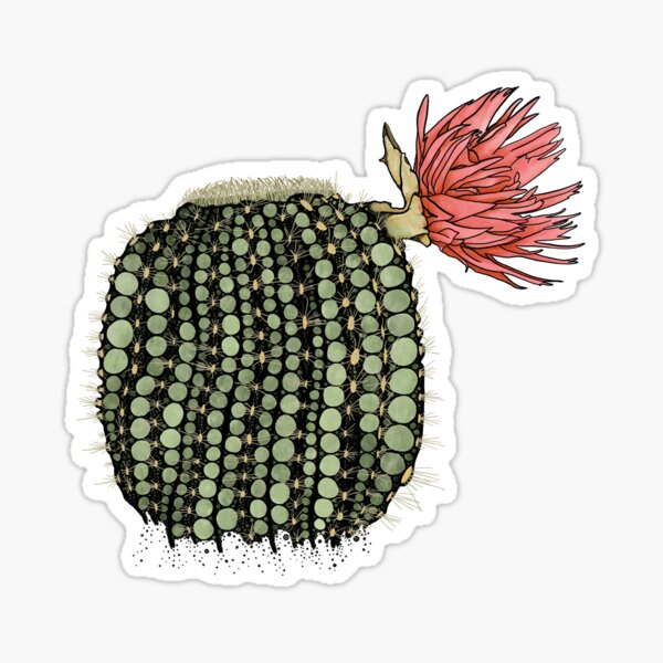 Watercolor fractal cactus with red flower Sticker