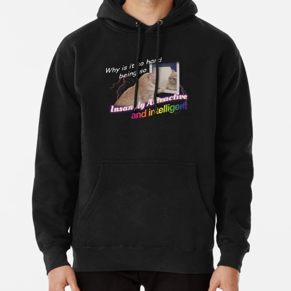 Why Is It So Hard Being So Insanely Attractive And Intelligent Meme Pullover Hoodie for Sale by swankyswamprat Redbubble