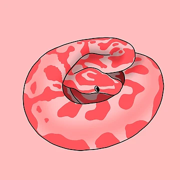Vorschaubild zum Design Dumme Derpy Red Ball Python von RoeHasArt