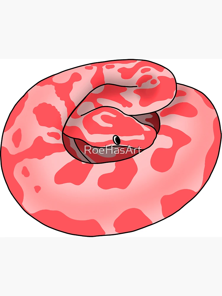 Thumbnail 3 of 3, Magnet, Silly Derpy Red Ball Python designed and sold by RoeHasArt.
