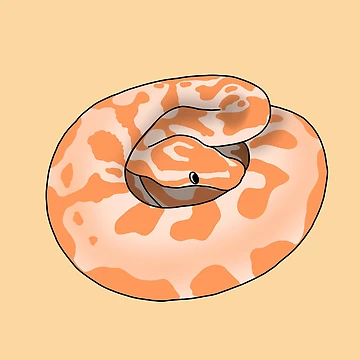 Artwork thumbnail, Silly Derpy Orange Ball Python by RoeHasArt