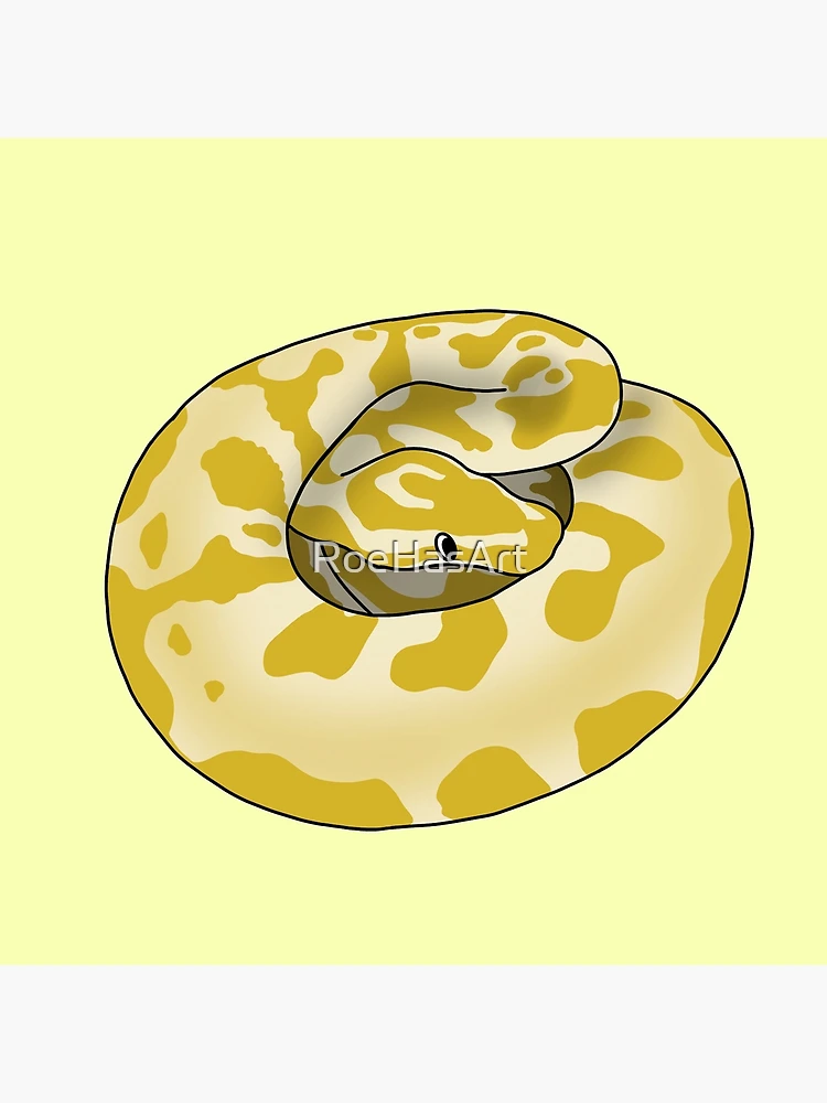 Thumbnail 2 of 2, Postcard, Silly Derpy Yellow Ball Python designed and sold by RoeHasArt.