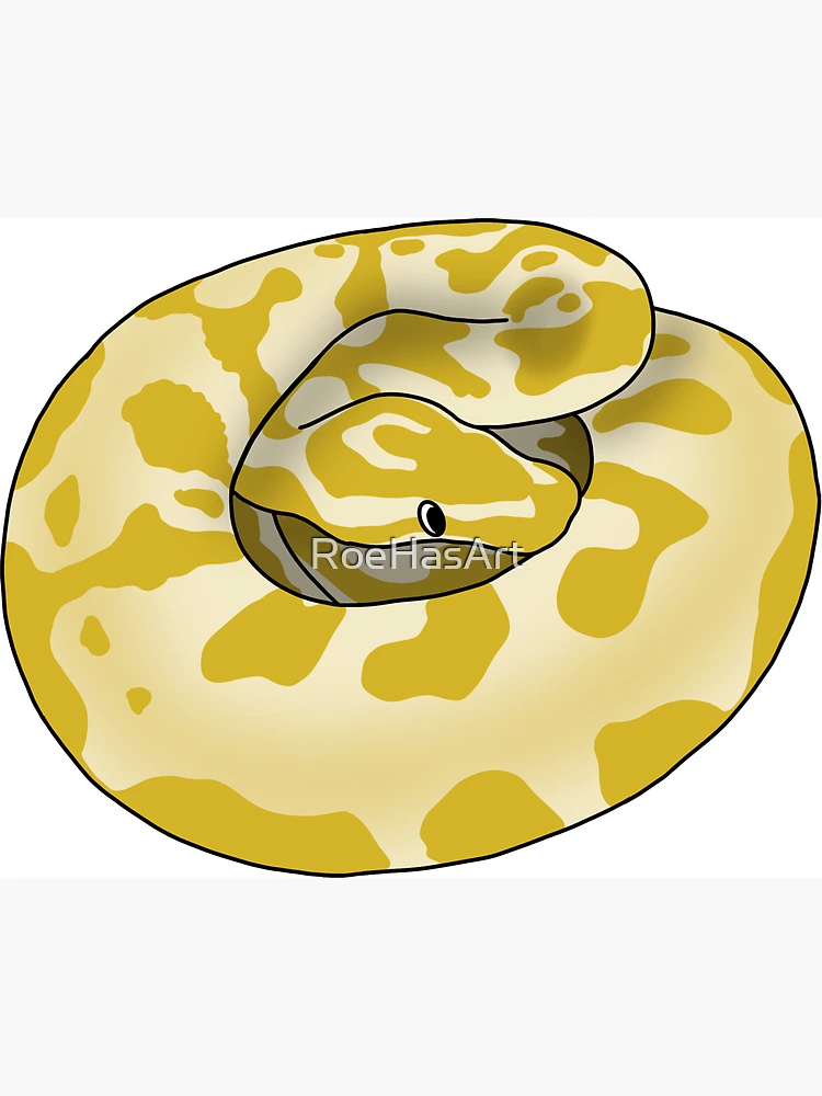 Thumbnail 3 of 3, Magnet, Silly Derpy Yellow Ball Python designed and sold by RoeHasArt.