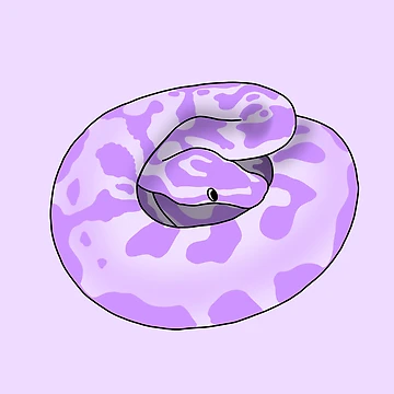 Artwork thumbnail, Silly Derpy Purple Ball Python by RoeHasArt