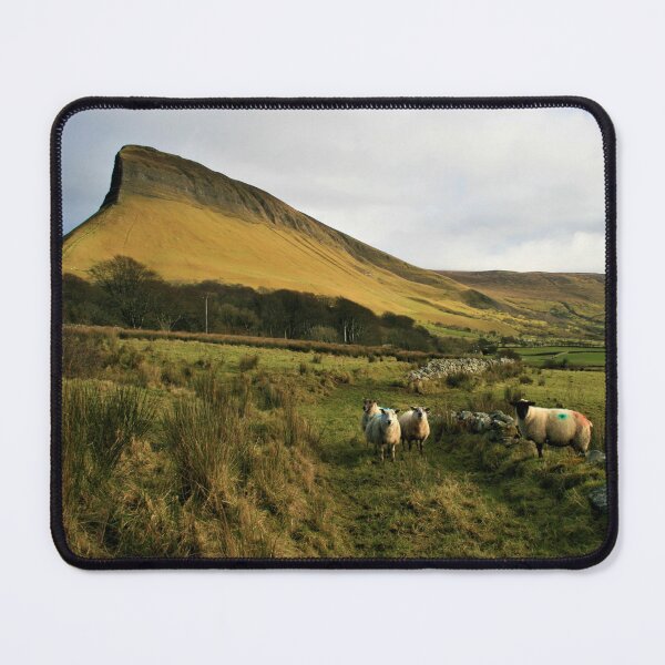 Item preview, Irish Landscape - Sheep and Benbulben designed and sold by McGingPhotos.