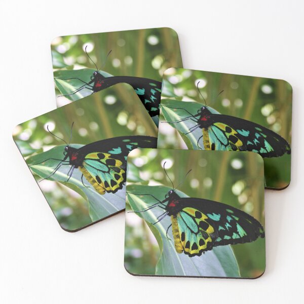 Item preview, Beautiful Birdwing Butterfly designed and sold by McGingPhotos.