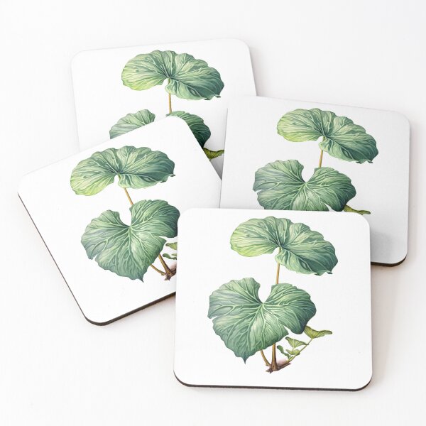 Item preview,  A Detailed Illustration of an Elephant Ear Plant designed and sold by Sketch-Shack.