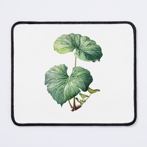 Item preview, A Detailed Illustration of an Elephant Ear Plant designed and sold by Sketch-Shack.