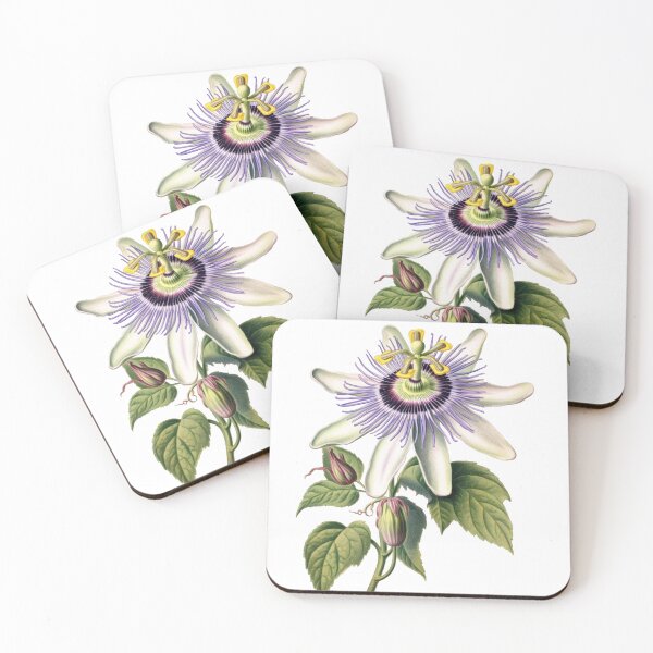 Item preview, A Detailed Illustration of a Passionflower designed and sold by Sketch-Shack.