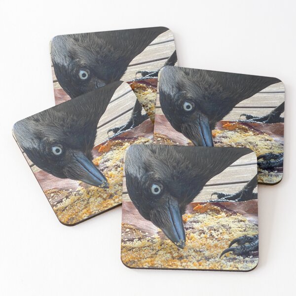 Item preview, Crow & Crumbs designed and sold by Paddyb17.