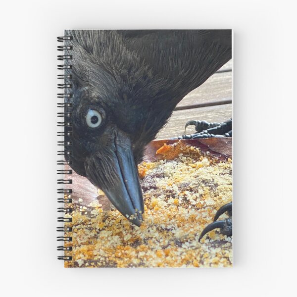 Item preview, Crow & Crumbs designed and sold by Paddyb17.