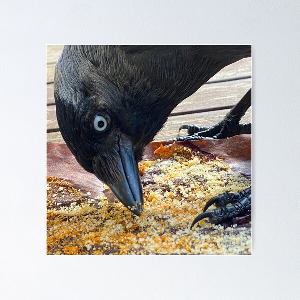 Item preview, Crow & Crumbs designed and sold by Paddyb17.