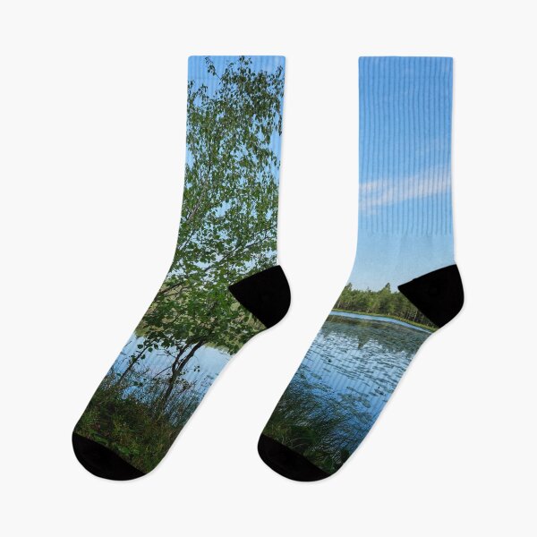 Item preview, The young birch by the lake designed and sold by Jouko Lehto Photography.