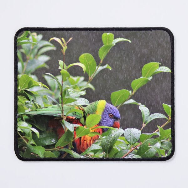 Item preview, Rainbow Lorikeet in the Rain designed and sold by McGingPhotos.