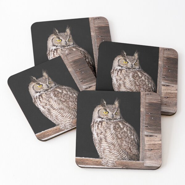 Item preview, Sitting in the Window designed and sold by Alyce Taylor.