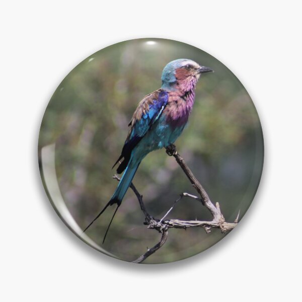 Item preview, Colourful African Bird - Lilac Breasted Roller designed and sold by McGingPhotos.