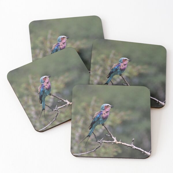 Item preview, Colourful African Bird - Lilac Breasted Roller designed and sold by McGingPhotos.