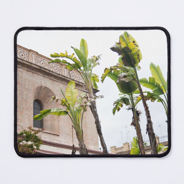 Item preview, Seville Building with White Bird of Paradise #1 #travel #wall #art designed and sold by Anita's & Bella's Art.