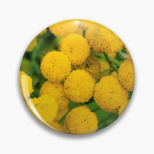 Item preview, Beautiful yellow summer flowers designed and sold by Fionatravels.