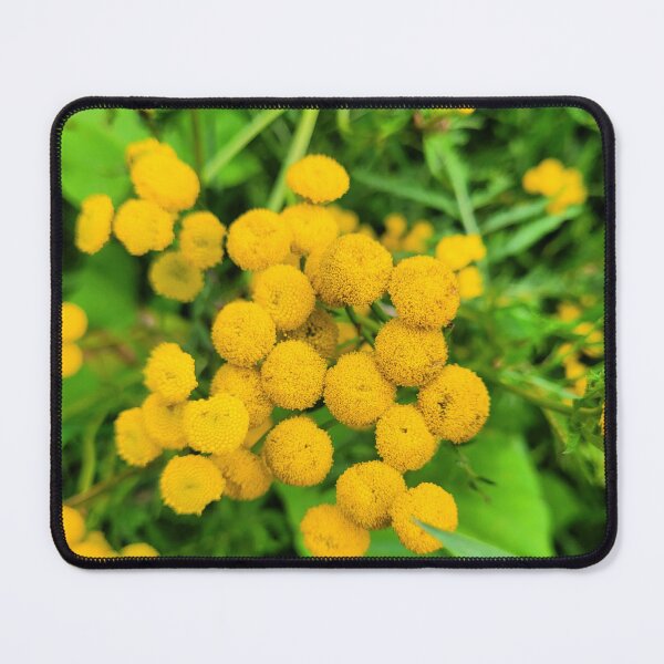 Item preview, Beautiful yellow summer flowers designed and sold by Fionatravels.