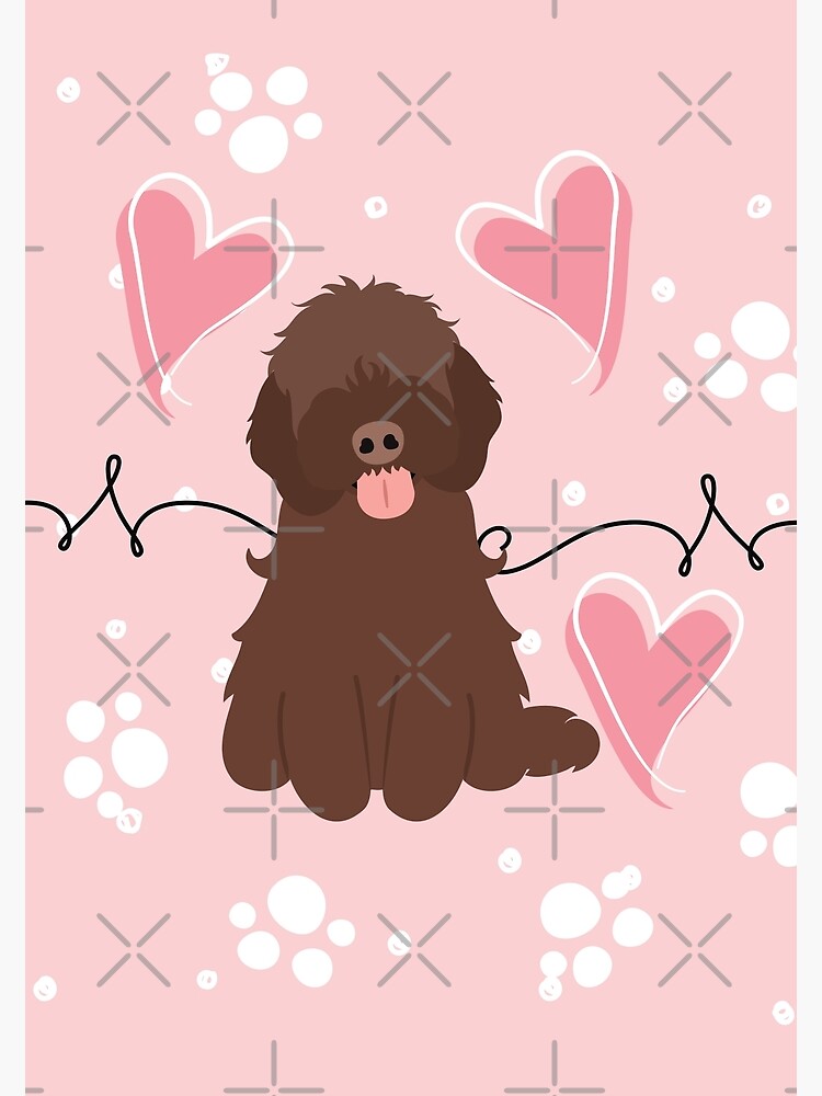LOVE Chocolate Cockapoo Cavapoo Dog