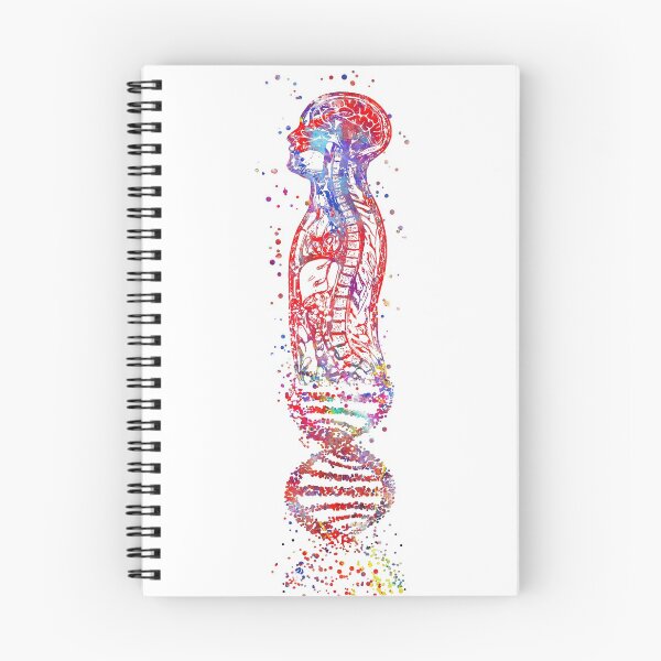 Item preview, DNA man, human body anatomy, human body molecules designed and sold by Rosaliartbook.