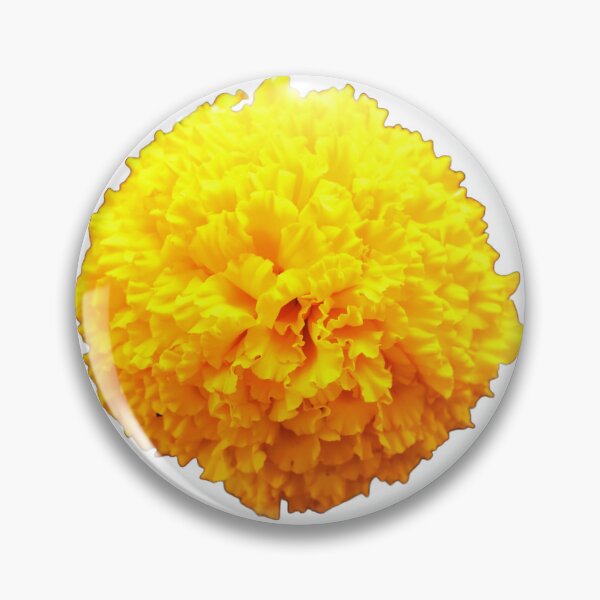 Artikelvorschau, Sonnige Ringelblume entworfen und verkauft von Louise-Mae.