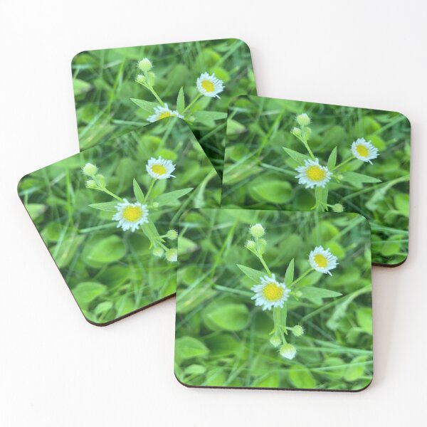 Item preview, Tiny Daisies Among Plants  designed and sold by Amanda1775.