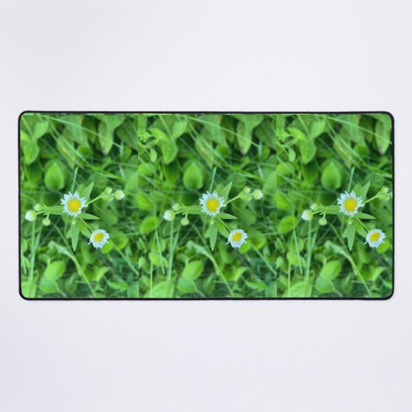 Item preview, Tiny Daisies Among Plants  designed and sold by Amanda1775.