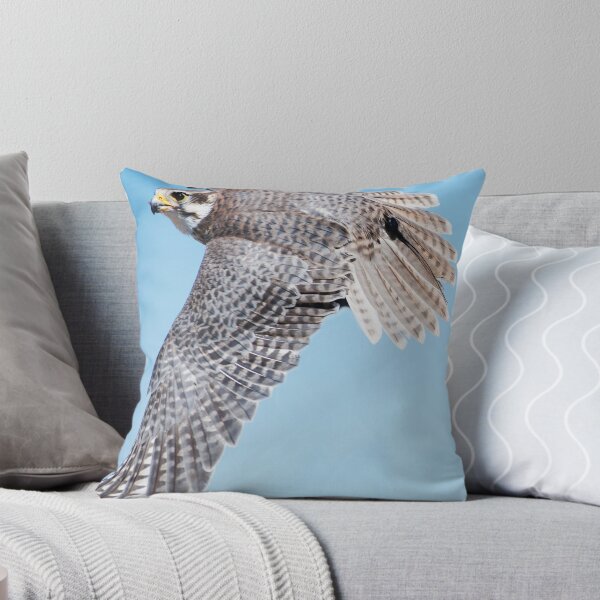 Artikelvorschau, Priaire Falcon Swooping entworfen und verkauft von Bryan Shane.