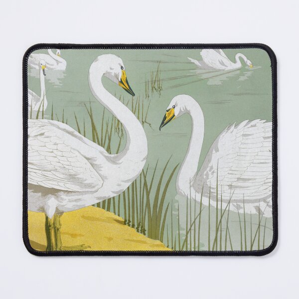 Item preview, Cygne sauvage from Lanimal dans la décoration,swan vintage painting designed and sold by EmeraldeaArt.