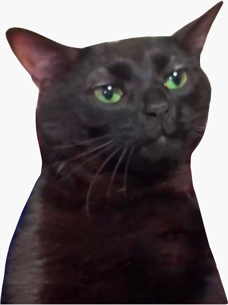 "Black Cat Zoning Out" Sticker for Sale by Apostrophy Studio Redbubble