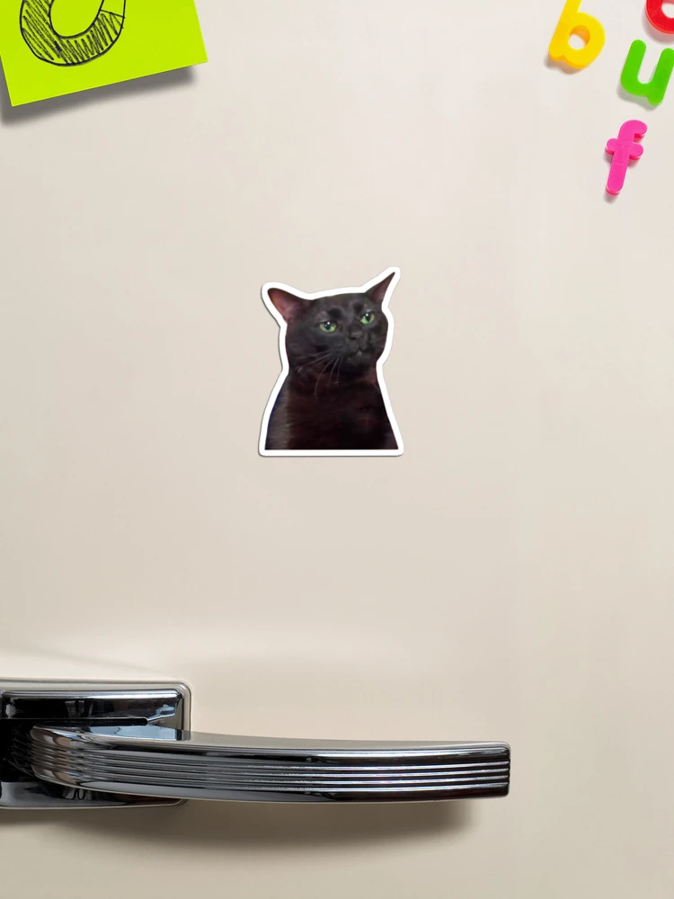 Black Cat Stickers – molonado