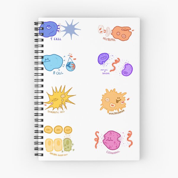 Item preview, cute immune cells with names designed and sold by Opid.