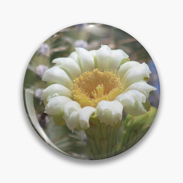 Item preview, Saguaro Cactus Bloom designed and sold by HistoryDesigns.