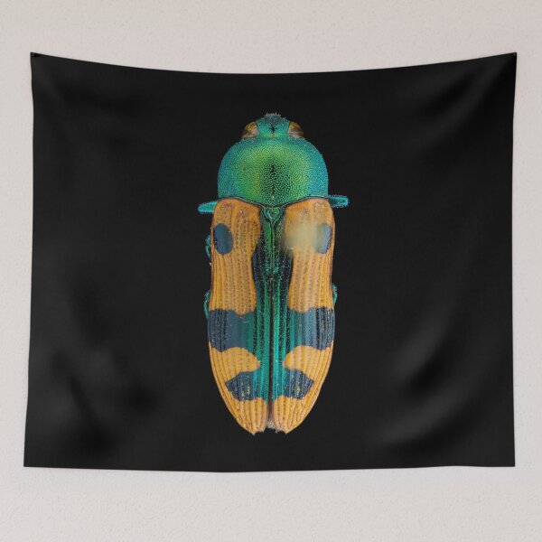 Item preview, Jewel Beetle (Castiarina scalaris) designed and sold by BiosecurityColl.